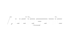 Audiosonic_logo_white-(1)